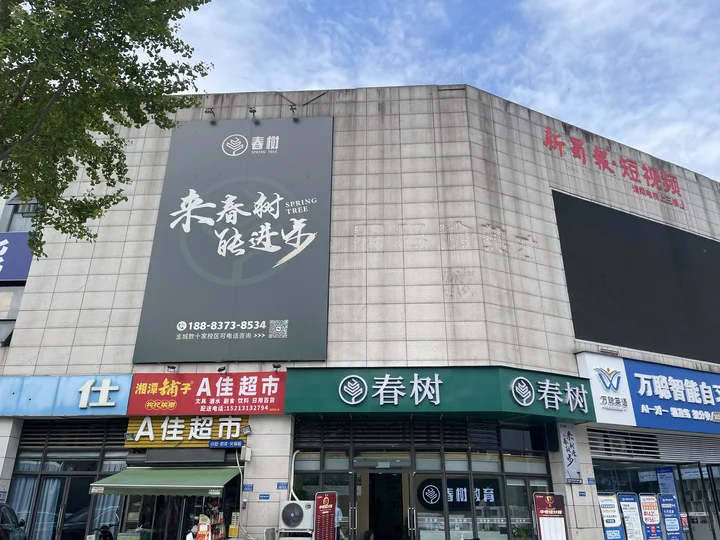 大学城学城树