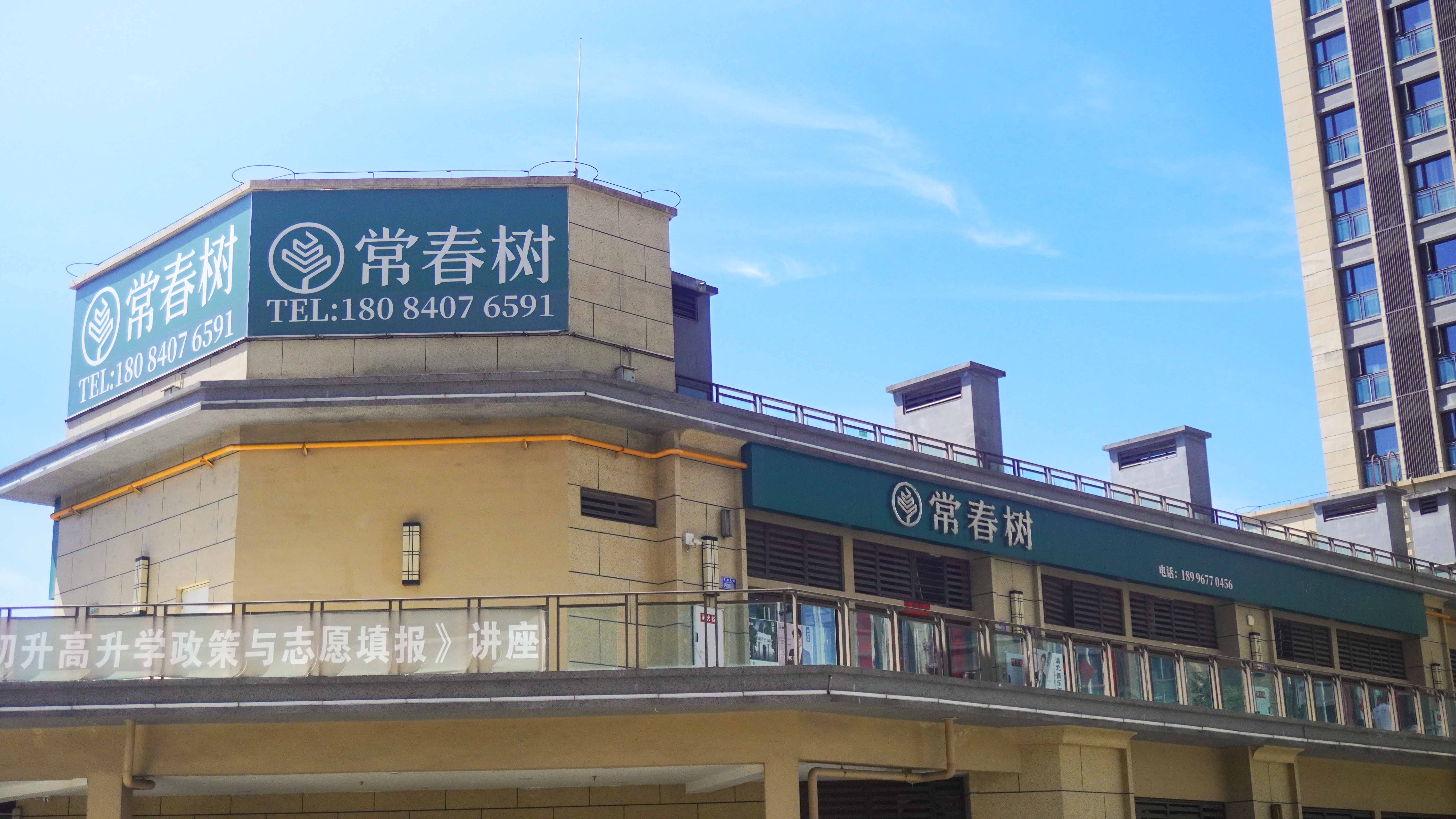 一双常春树