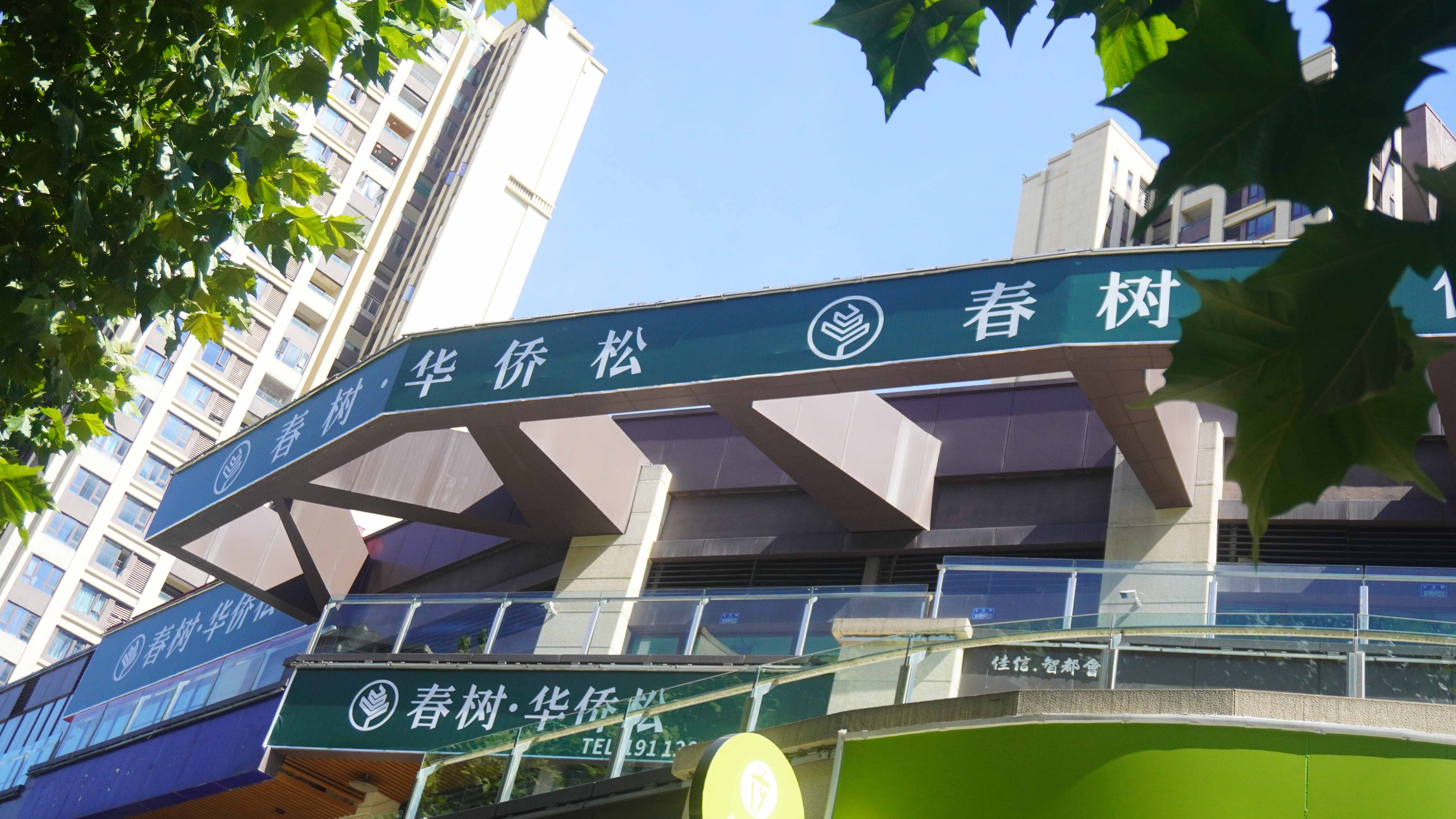 两江华侨松