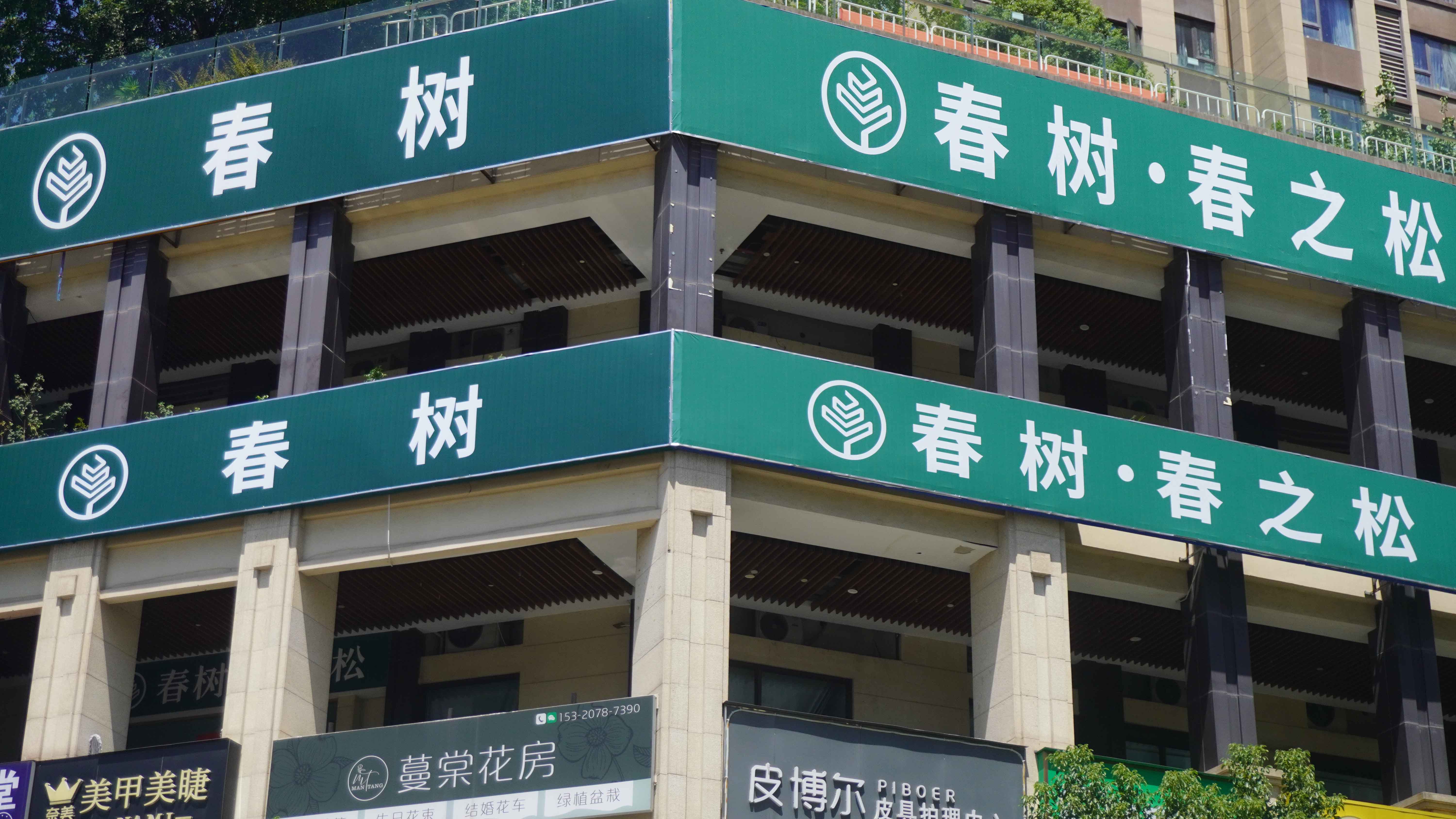 渝八春之松
